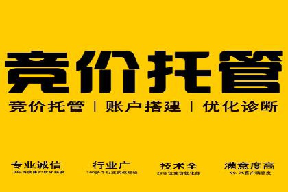 竞价推广策略：某电商平台的成功案例